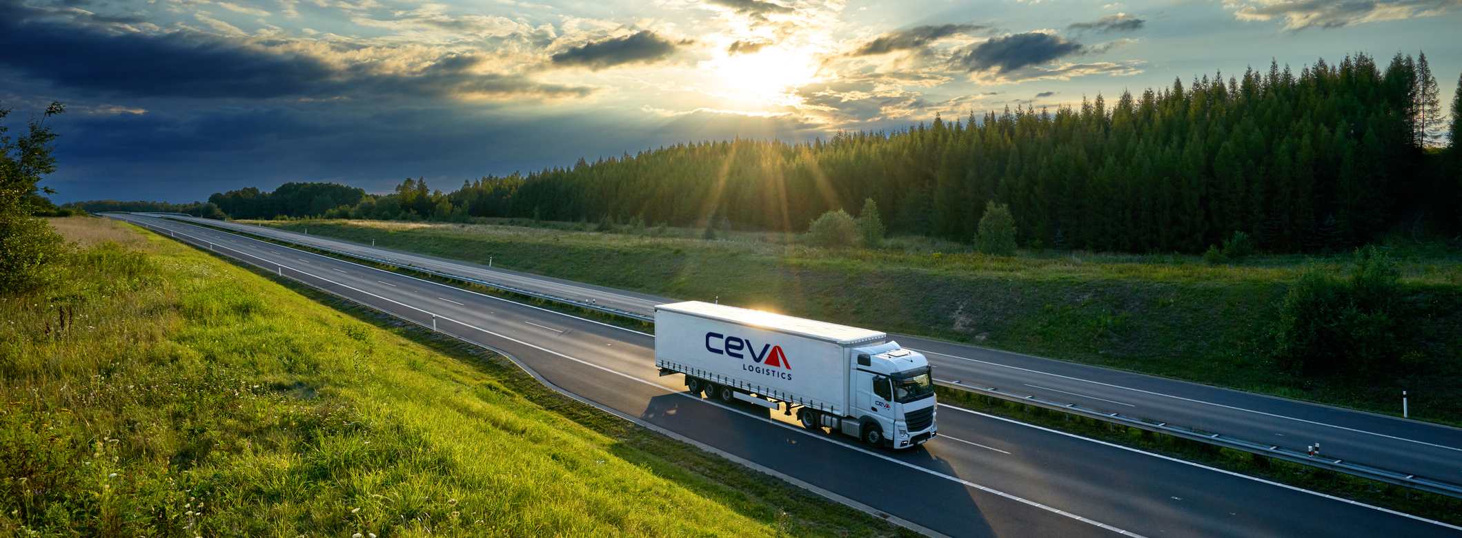 Perustamisvuosi 2025